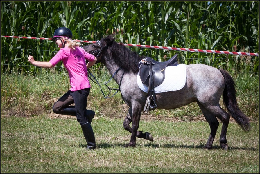 Mounted Games 125